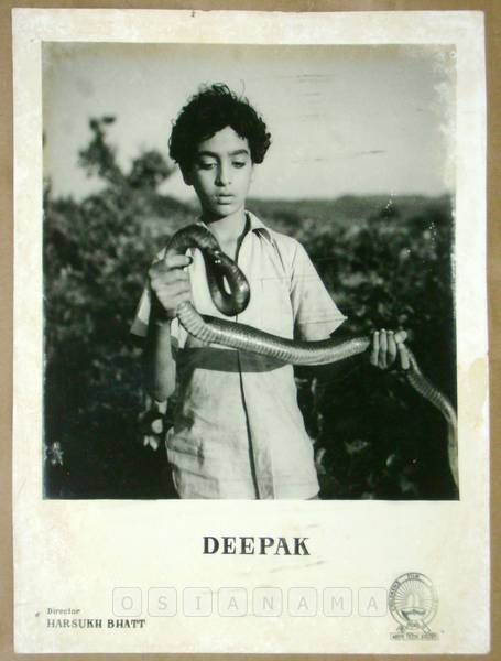 Photographic Lobby Cards
0820365.CINE.lbp
Photographic Lobby Cards
0820365.CINE.lbp