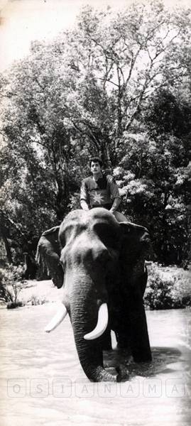 Photographic Stills & Negatives
0917577.CINE.pho Photographic Stills & Negatives
0917577.CINE.pho