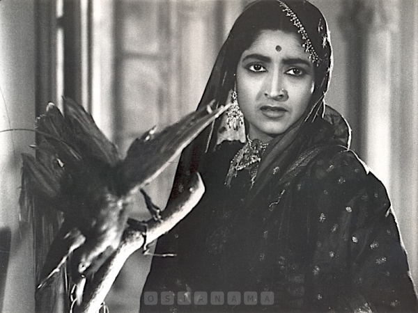 Photographic Stills & Negatives
CINE.pho