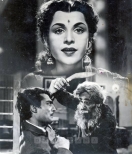 Photographic Stills & Negatives
917050.CINE.pho